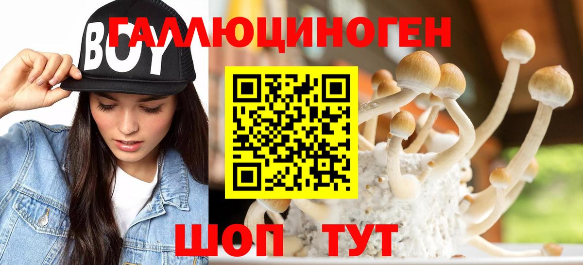 Сорочинск  Псилоцибиновые грибы прущие грибы  закладка  Вход с VPN 
